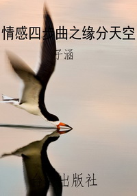 情感四步曲之缘分天空