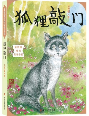 狐狸敲门