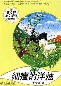 细瘦的洋烛