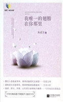 我唯一的翅膀在你那里
