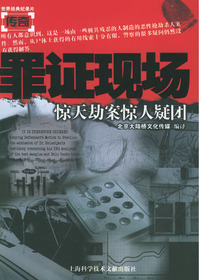 罪证现场.惊天劫案惊