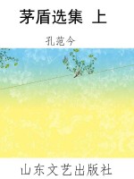 茅盾选集 上