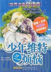 少年维特之烦恼