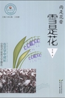 雨是花蕾 雪是花