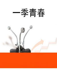 一季青春