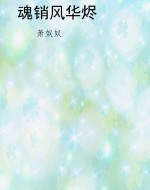 魂销风华烬