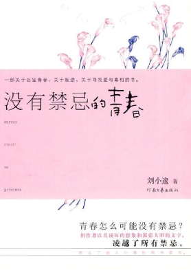 没有禁忌的青春