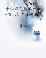 中华现代精华文库--鲁