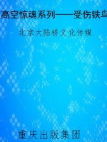 高空惊魂系列——受伤