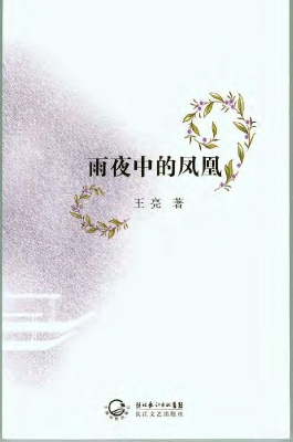 雨夜中的凤凰