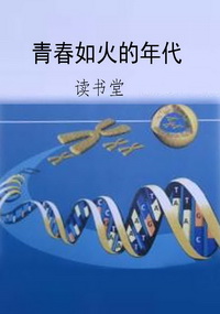 青春如火的年代