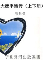 大唐平叛传（上下册）