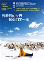 我看到的世界和你们不