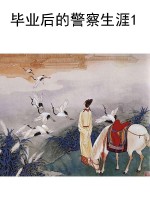 毕业后的警察生涯1