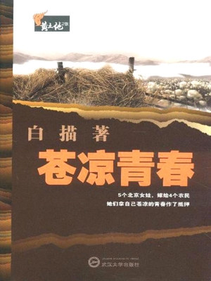 苍凉青春