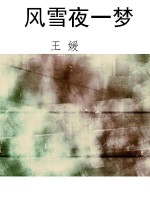 风雪夜一梦