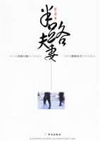 半路夫妻