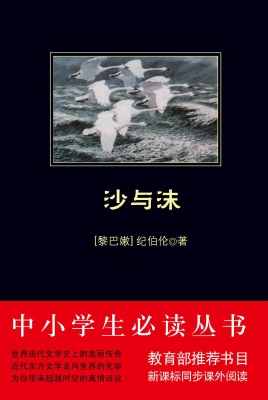 沙与沫
