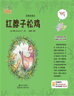 红脖子松鸡