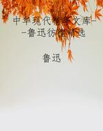 中华现代精华文库--鲁