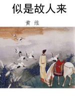 似是故人来