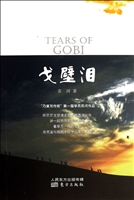 戈壁泪