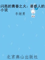 闪亮的青春之火：最感人