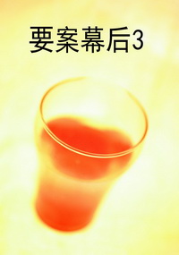 要案幕后3