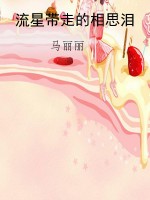 流星带走的相思泪