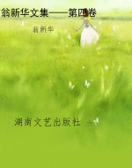 翁新华文集——第四卷