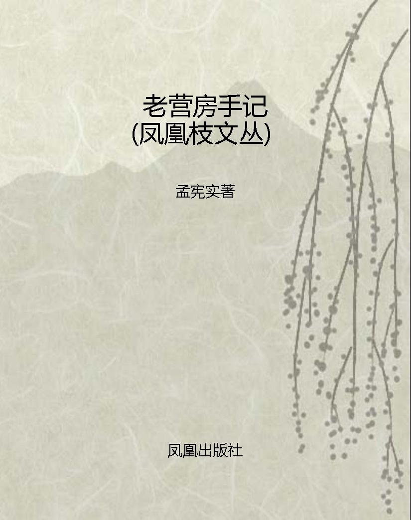 老营房手记（凤凰枝文丛