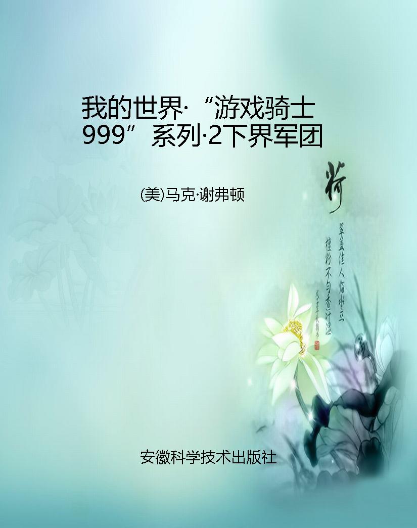 我的世界·“游戏骑士