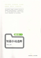 2015年短篇小说选粹