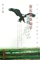 查布大草甸子上的鹰