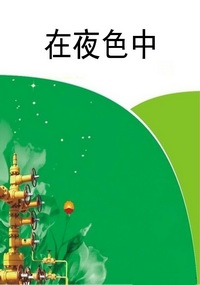 在夜色中