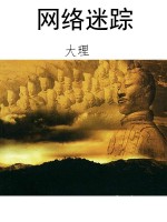 网络迷踪