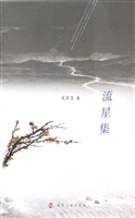 流星集