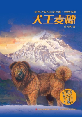 犬王麦穗