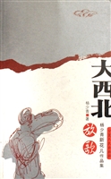 大西北放歌——杨少青