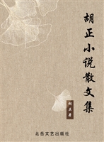 胡正小说散文集