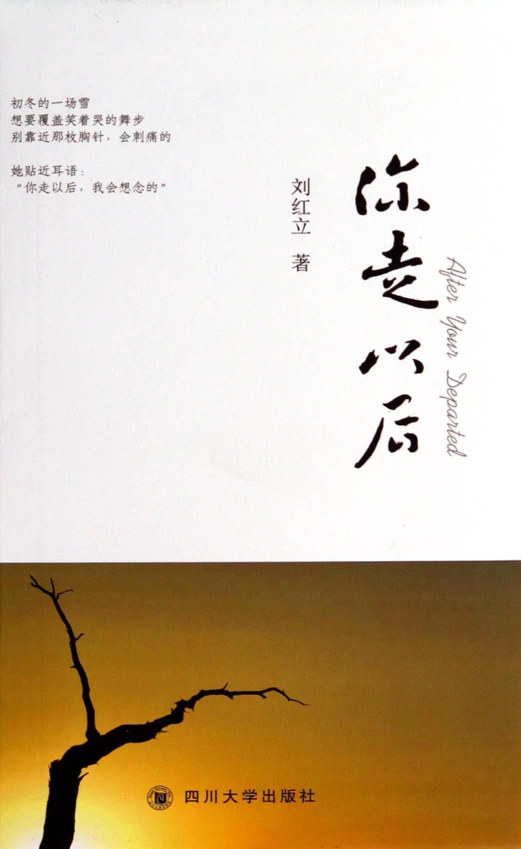 你走以后