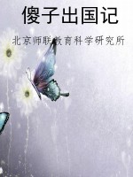 傻子出国记