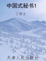 中国式秘书1