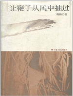 让鞭子从风中抽过