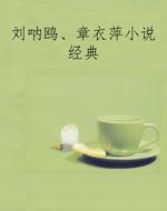 刘呐鸥、章衣萍小说经