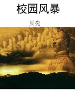校园风暴