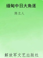 缅甸中日大角逐