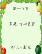 高一往事
