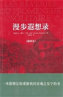 漫步遐想录