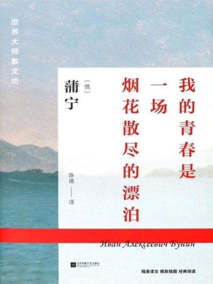 我的青春是一场烟花散